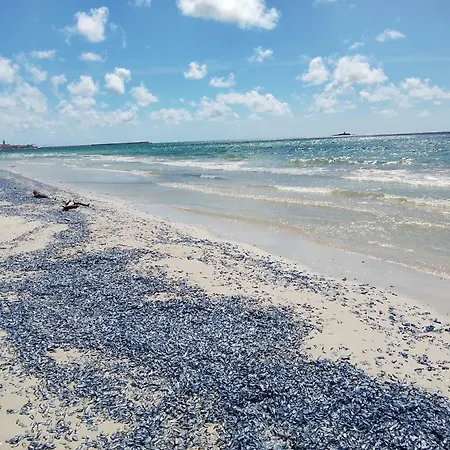 Casa Mari, A Due Passi Dal Mare *
